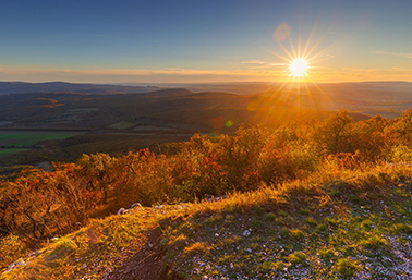 Invitation: Piliscsév Loop Hike - Pilis nature's picture
